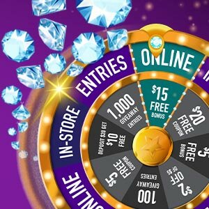 MI Lottery Entries, Online, In-store