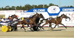 Harness racing