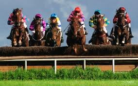 Steeple chase racing