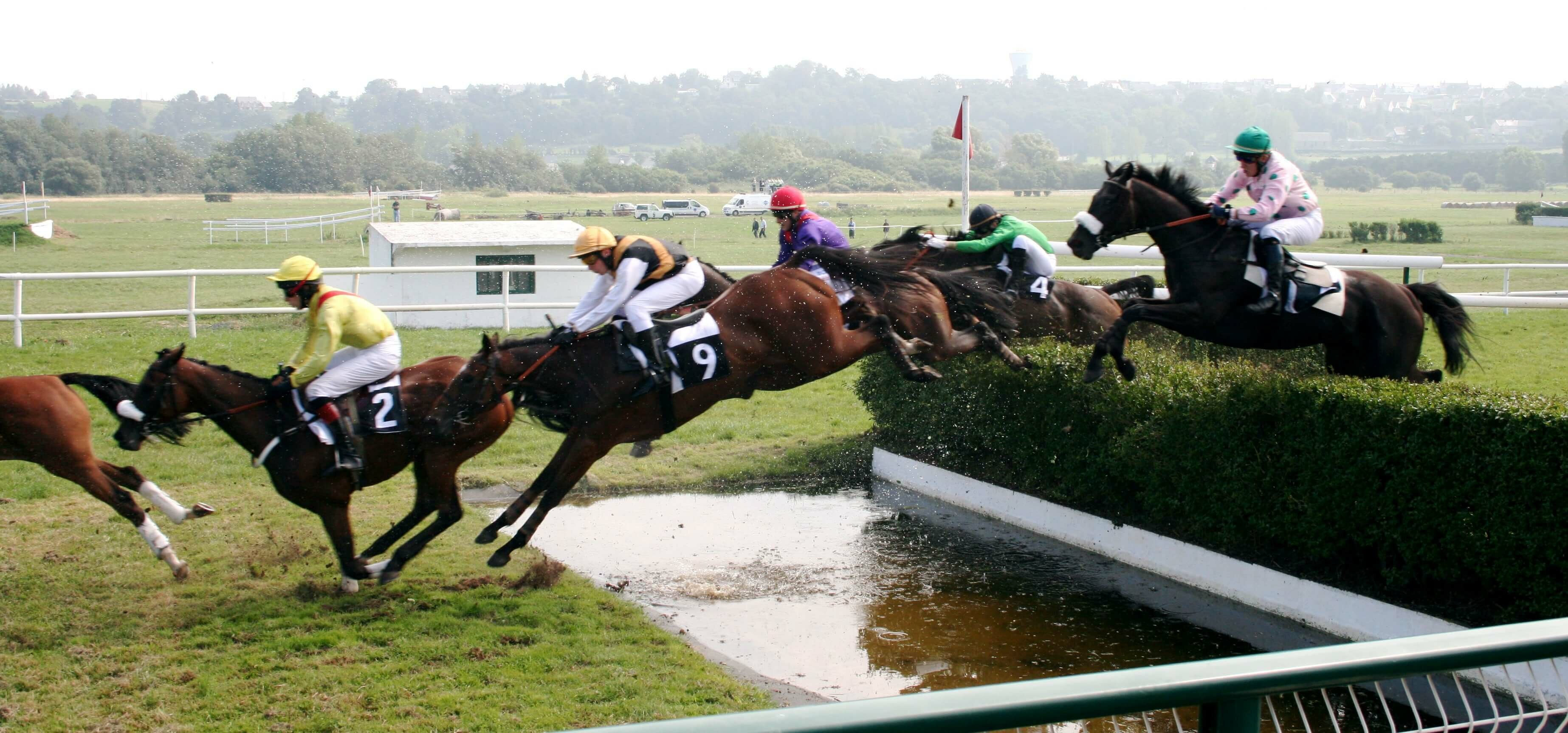 Steeplechase racing 