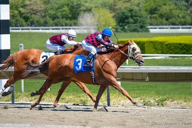 How to bet on the Kentucky Derby