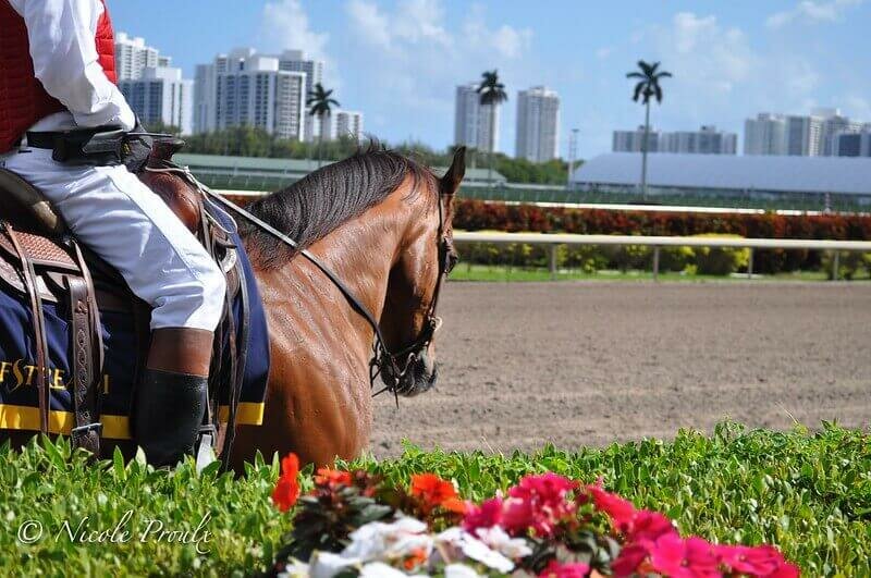 pegasus world cup entries