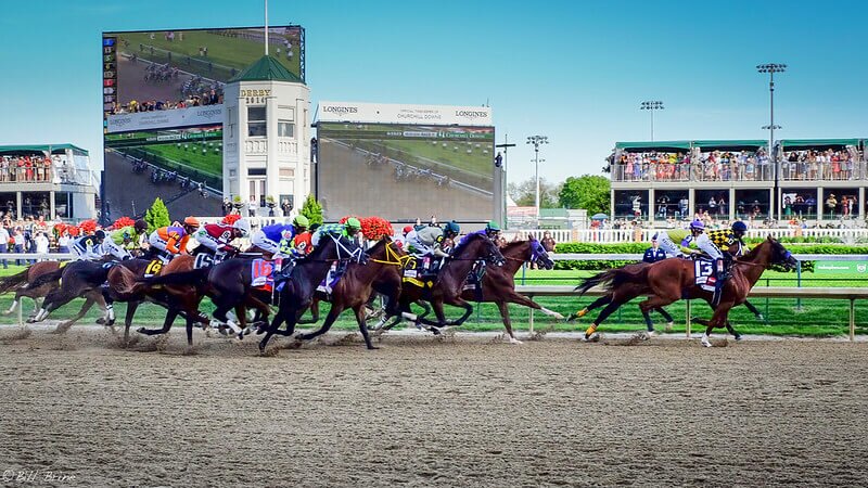 Kentucky Derby Horses